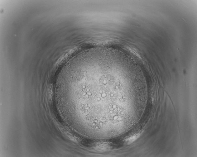 X0000060750495200511171126