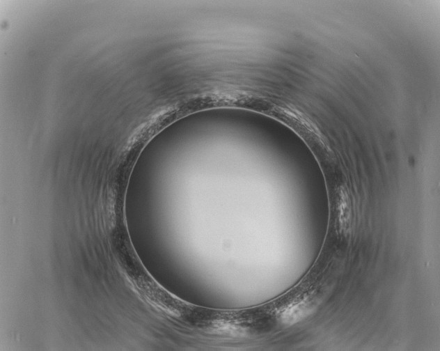 X0000060750496200511171126