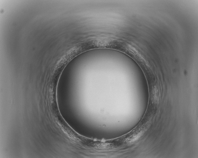 X0000060750497200511171126