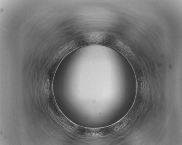 X0000060750498200511171126