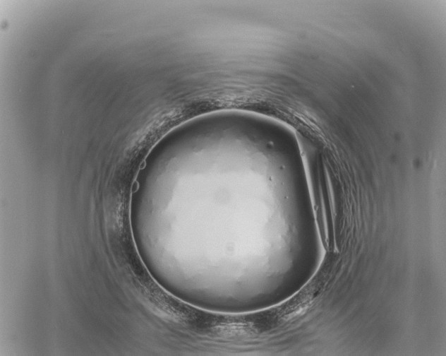 X0000060750499200511171126