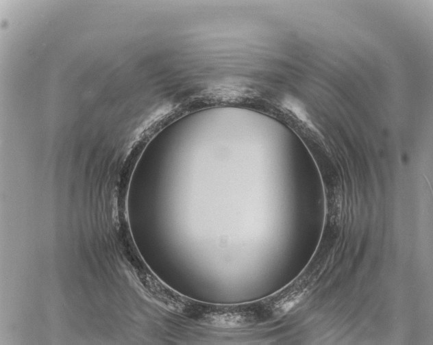 X0000060750500200511171126