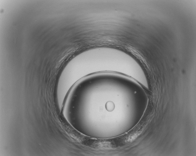 X0000060750501200511171126