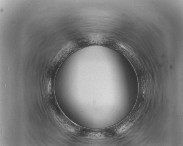 X0000060750502200511171126