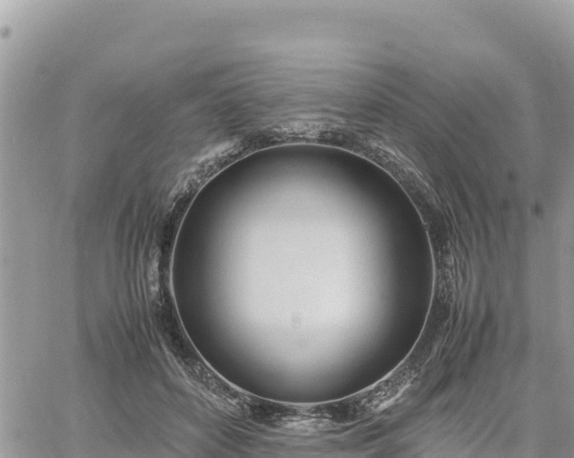 X0000060750504200511171126