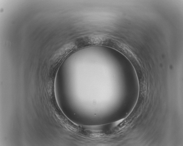 X0000060750505200511171126