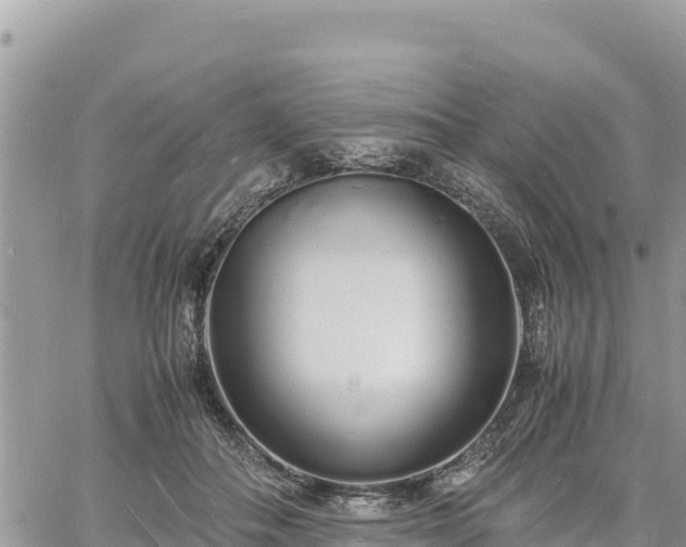 X0000060750506200511171126