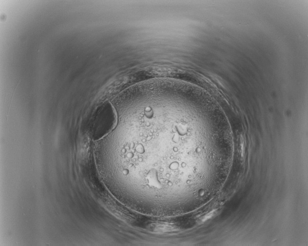 X0000060750507200511171126