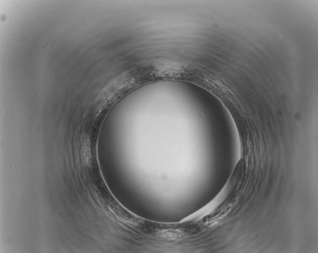 X0000060750508200511171126