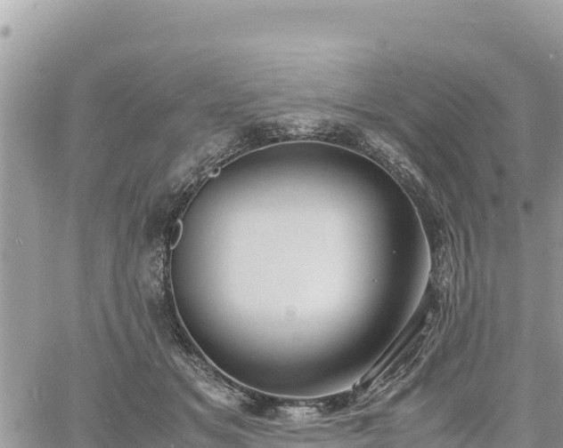 X0000060750509200511171126