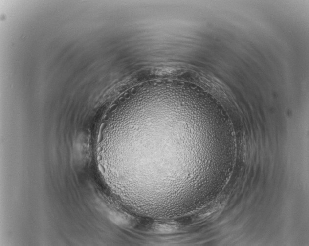 X0000060750510200511171126