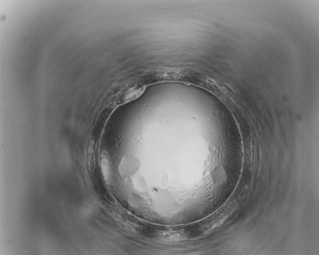 X0000060750511200511171126