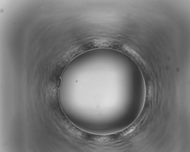 X0000060750513200511171126