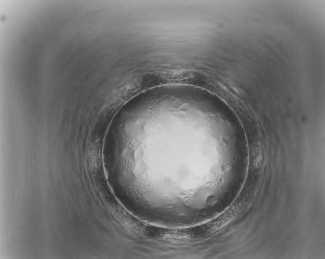 X0000060750515200511171126