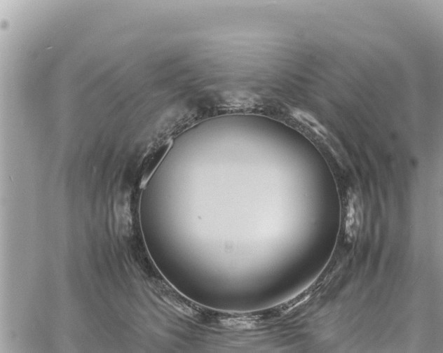 X0000060750516200511171126