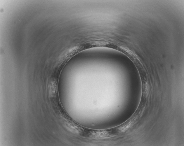 X0000060750517200511171126