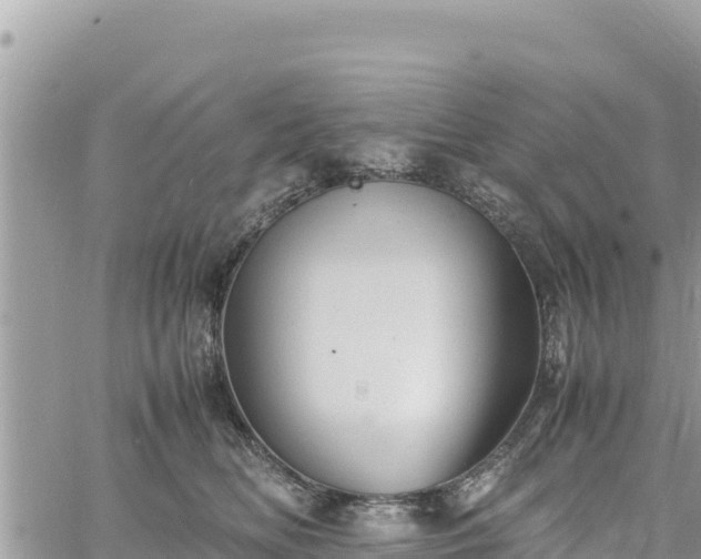 X0000060750518200511171126