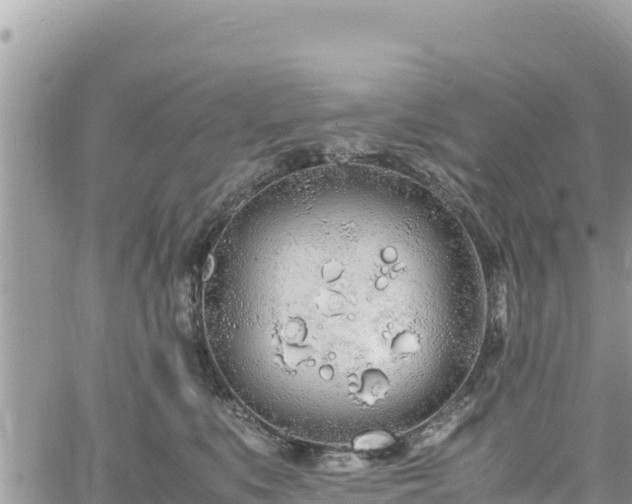 X0000060750519200511171126