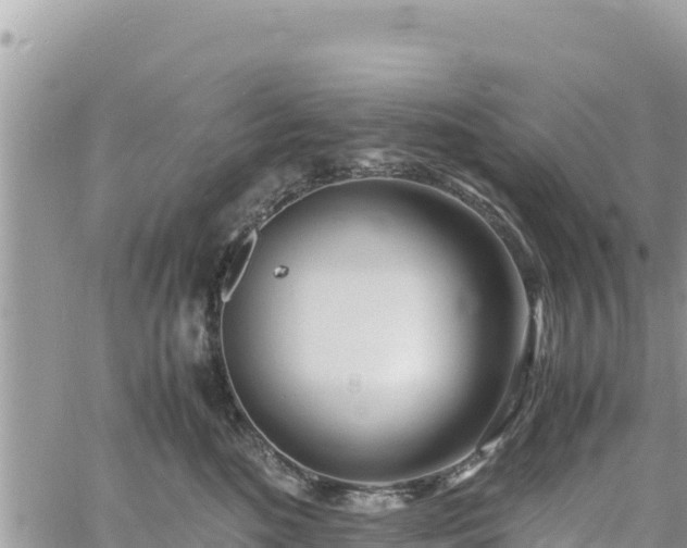 X0000060750520200511171126