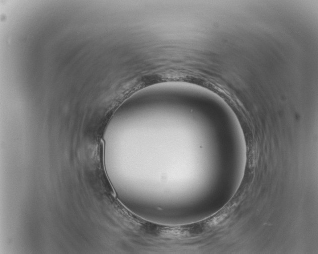 X0000060750521200511171126