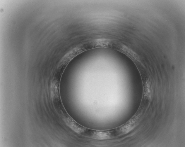 X0000060750522200511171126