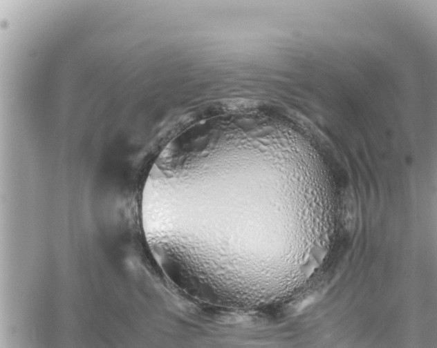 X0000060750523200511171126