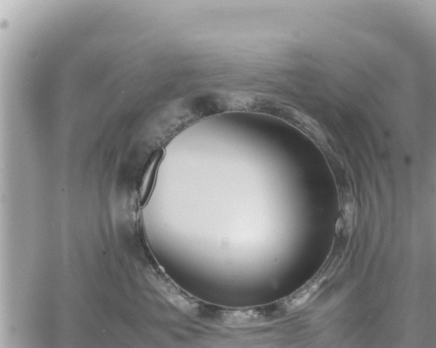 X0000060750525200511171126