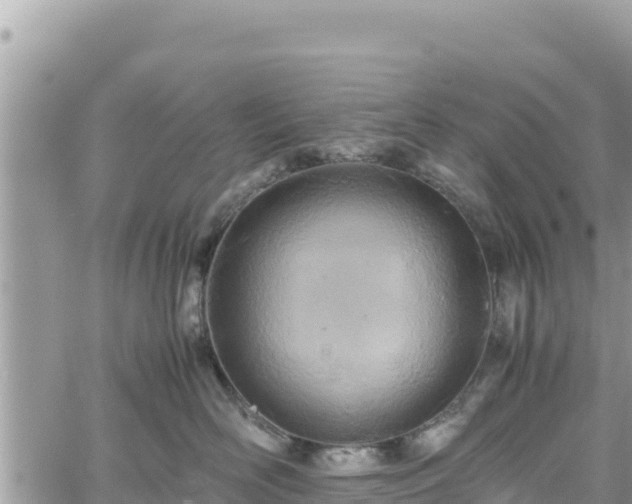 X0000060750526200511171126