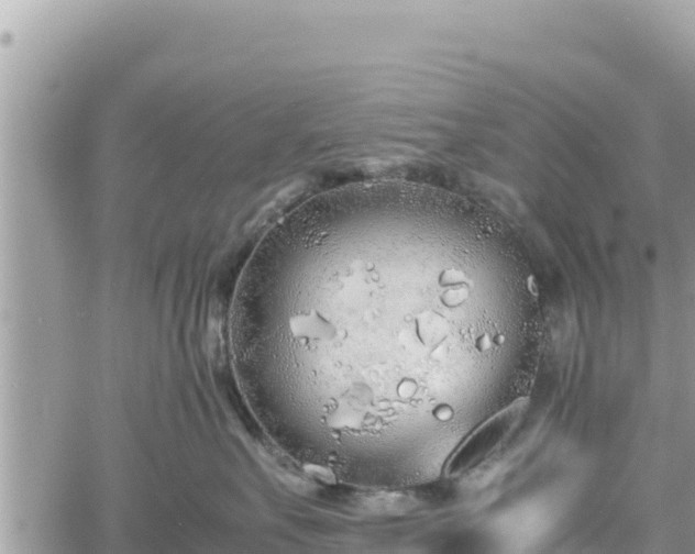 X0000060750527200511171126