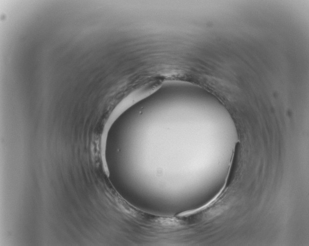 X0000060750528200511171126