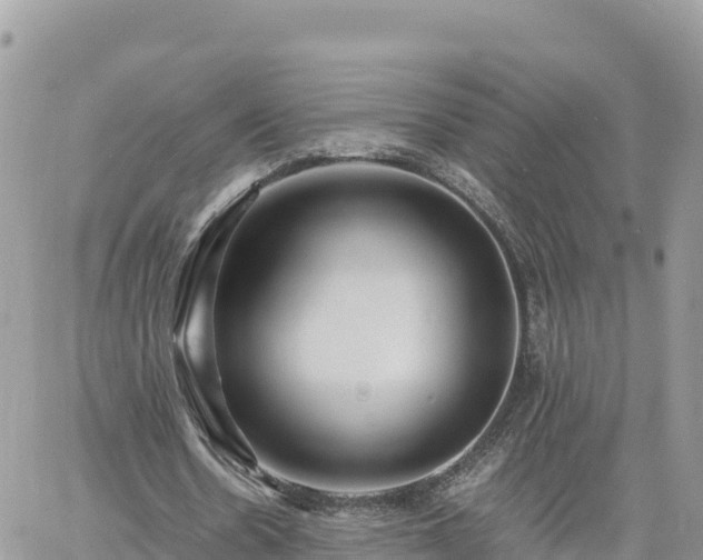 X0000060750530200511171125