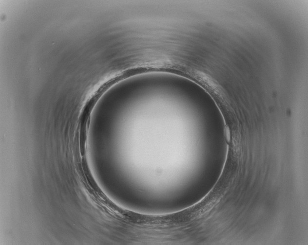 X0000060750532200511171125