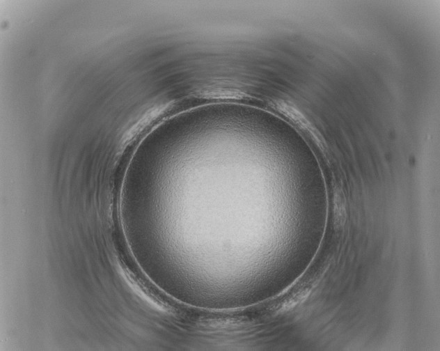 X0000060750533200511171125