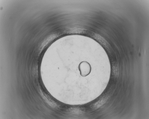 X0000060750534200511171125