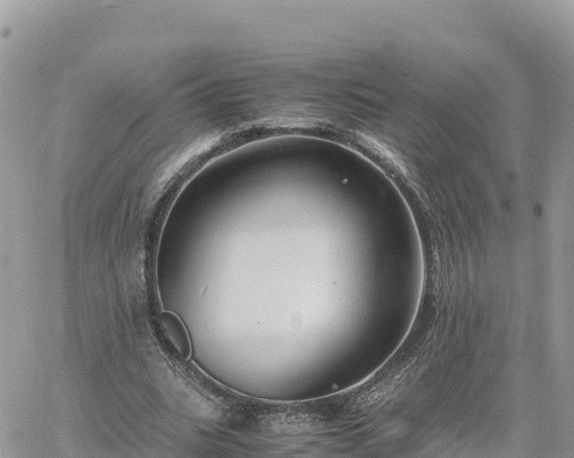 X0000060750535200511171125