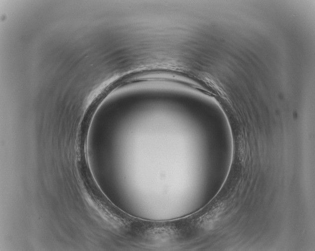 X0000060750536200511171125