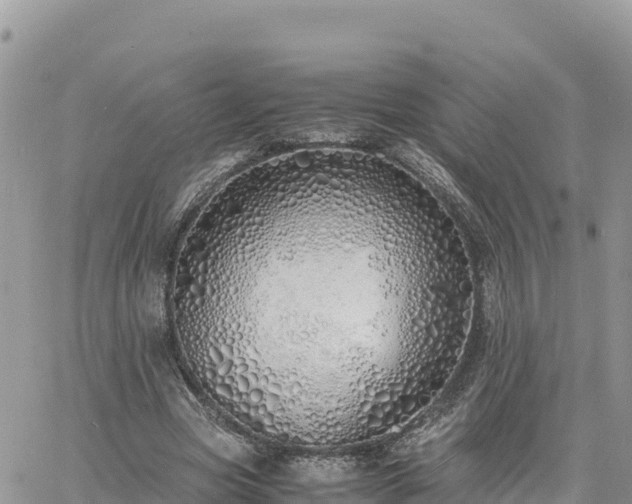 X0000060750537200511171125