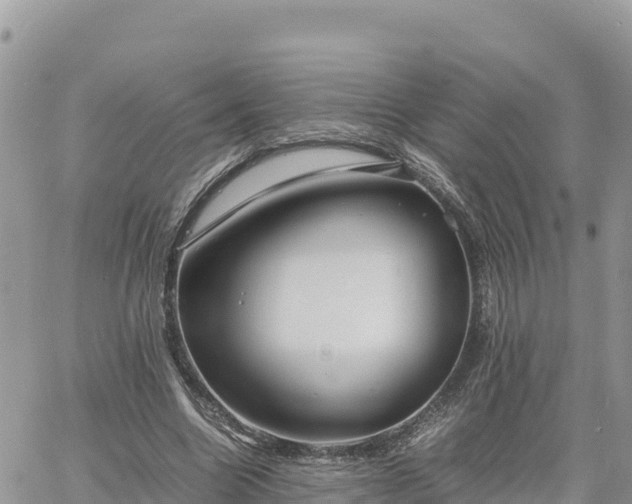 X0000060750538200511171125