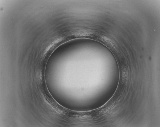 X0000060750539200511171125