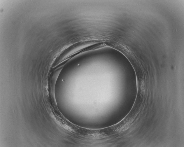 X0000060750540200511171125