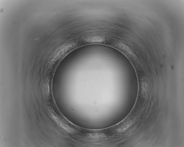 X0000060750541200511171125