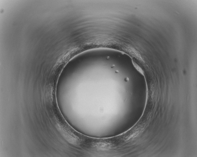 X0000060750542200511171125