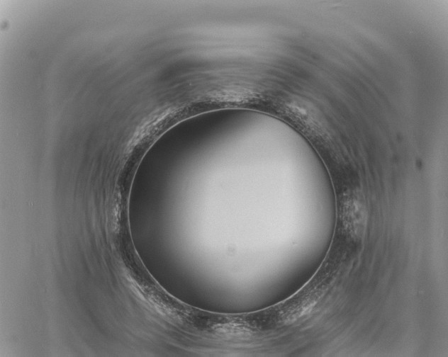 X0000060750544200511171125