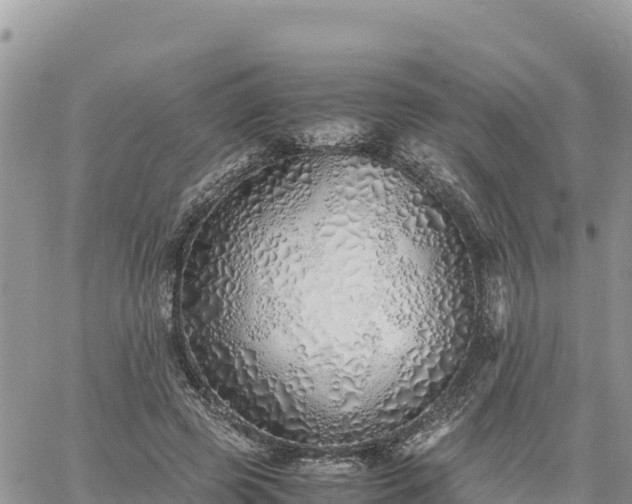 X0000060750545200511171125