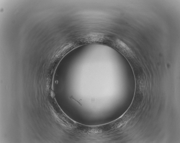 X0000060750546200511171125