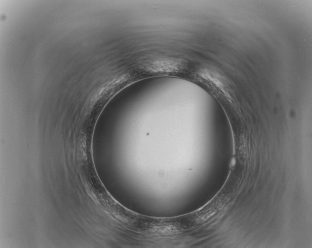 X0000060750547200511171125