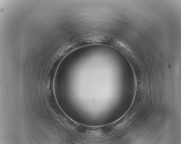 X0000060750548200511171125