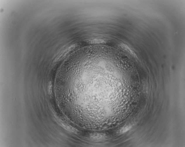 X0000060750549200511171125