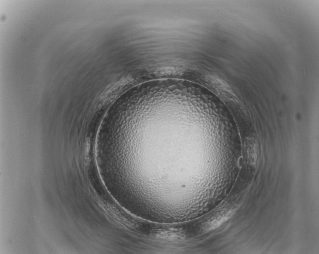 X0000060750550200511171125