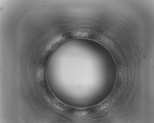 X0000060750551200511171125